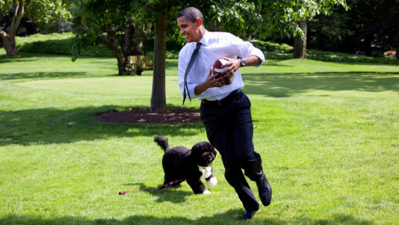 Barack Obama aleargă cu Bo pe peluza Casei Albe. Foto: Profimedia