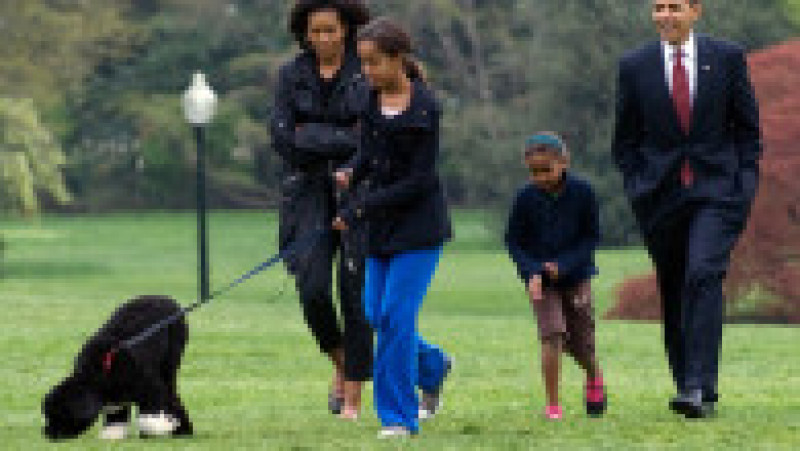 Familia Obama îl plimbă pe Bo pe peluza Casei Albe. Foto: Profimedia | Poza 4 din 4