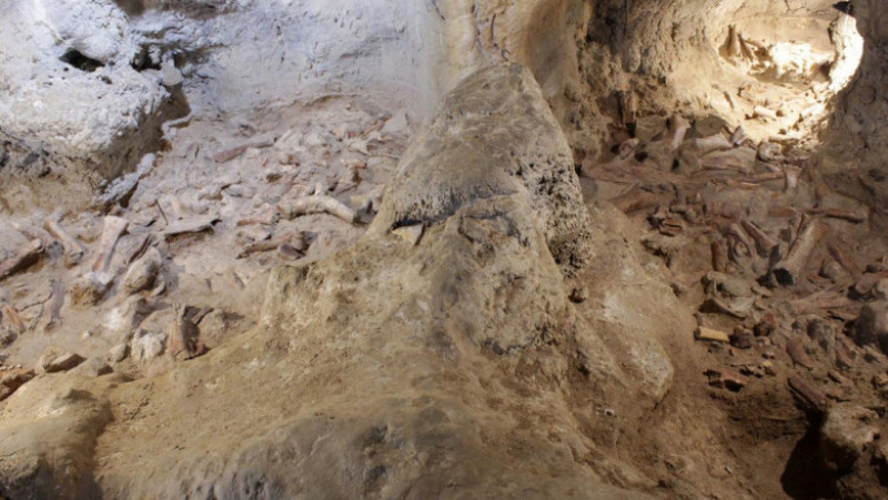 Rămășițele a nouă oameni de Neanderthal au fost găsite într-o peșteră din Italia. Sursa foto: AFP PHOTO / ITALIAN MINISTRY OF CULTURE / HANDOUT 