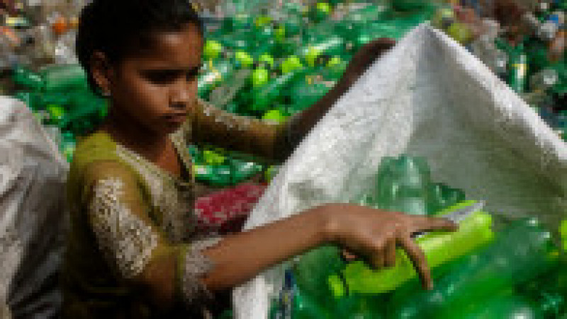 Jumătate din deşeurile de plastic de unică folosinţă din lume sunt produse de doar 20 de companii FOTO: Profimedia Images | Poza 29 din 32