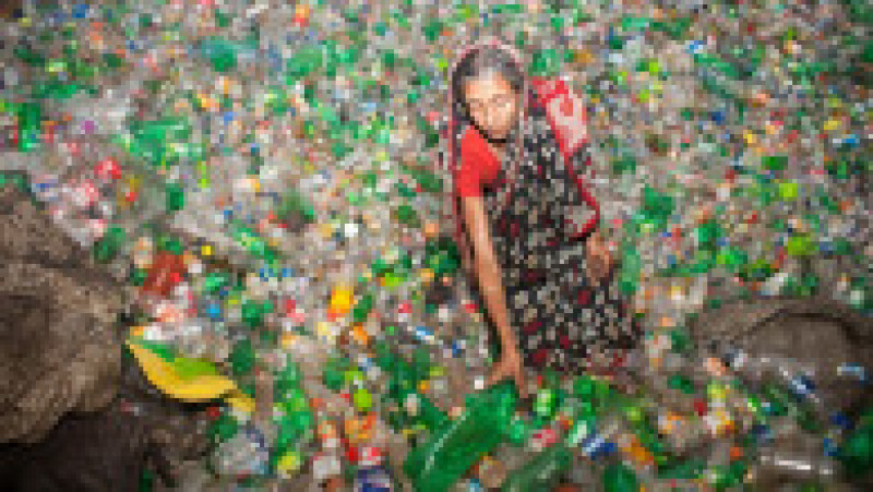 Jumătate din deşeurile de plastic de unică folosinţă din lume sunt produse de doar 20 de companii FOTO: Profimedia Images | Poza 27 din 32