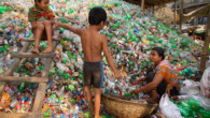 Jumătate din deşeurile de plastic de unică folosinţă din lume sunt produse de doar 20 de companii FOTO: Profimedia Images | Poza 28 din 32