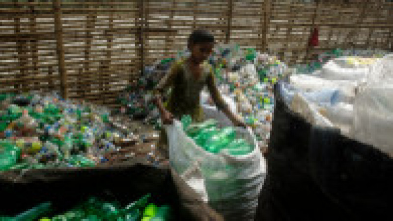 Jumătate din deşeurile de plastic de unică folosinţă din lume sunt produse de doar 20 de companii FOTO: Profimedia Images | Poza 30 din 32