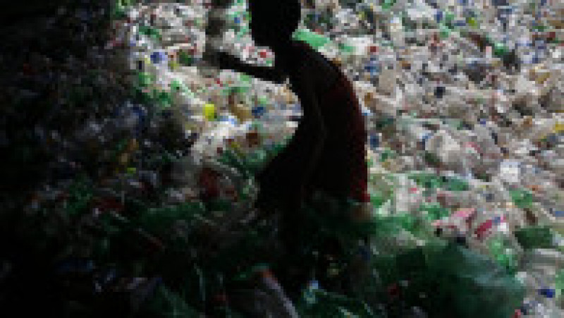 Jumătate din deşeurile de plastic de unică folosinţă din lume sunt produse de doar 20 de companii FOTO: Profimedia Images | Poza 20 din 32