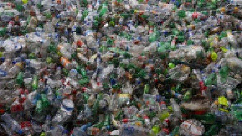 Jumătate din deşeurile de plastic de unică folosinţă din lume sunt produse de doar 20 de companii FOTO: Profimedia Images | Poza 18 din 32