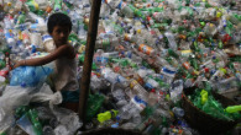 Jumătate din deşeurile de plastic de unică folosinţă din lume sunt produse de doar 20 de companii FOTO: Profimedia Images | Poza 22 din 32