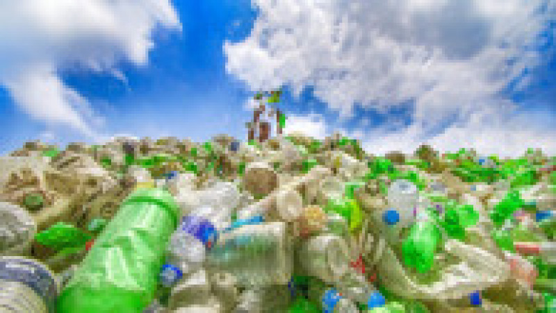 Jumătate din deşeurile de plastic de unică folosinţă din lume sunt produse de doar 20 de companii FOTO: Profimedia Images | Poza 15 din 32
