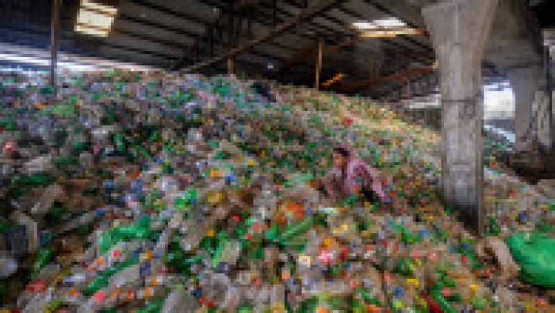 Jumătate din deşeurile de plastic de unică folosinţă din lume sunt produse de doar 20 de companii FOTO: Profimedia Images | Poza 10 din 32