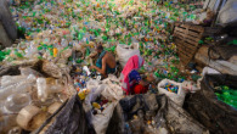 Jumătate din deşeurile de plastic de unică folosinţă din lume sunt produse de doar 20 de companii FOTO: Profimedia Images | Poza 12 din 32