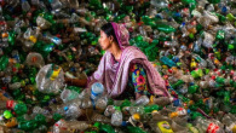 Jumătate din deşeurile de plastic de unică folosinţă din lume sunt produse de doar 20 de companii FOTO: Profimedia Images | Poza 5 din 32
