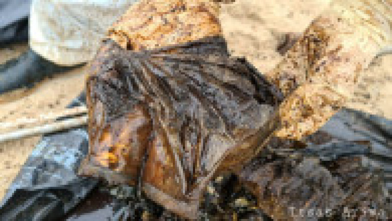 16 kilograme de plastic au fost găsite în stomacul unei balene care a eșuat pe o plajă din Franța. Foto: Facebook/Itsas Arima | Poza 6 din 8