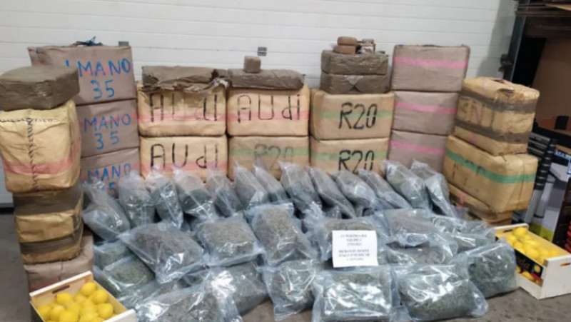 Drogurile au fost ascunse printre lămâi FOTO: Direction régionale des douanes