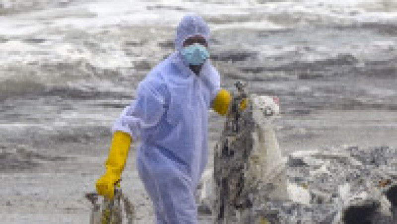 Plajele de pe coasta de vest din Sri Lanka au fost acoperite de petrol și reziduuri de plastic provenite de la un cargobot aflat în flăcări la mică distanță de țărm. Sursa foto: Profimedia Images | Poza 8 din 12