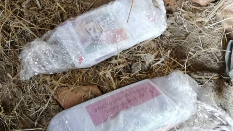 Un bărbat a furat 170.000 de euro din casa unei femei și i-a îngropat în curtea casei. FOTO Poliția Română