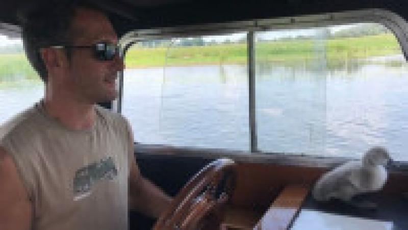 Un bărbat din Marea Britanie a salvat un cuib de lebădă. Foto: BBC | Poza 2 din 5