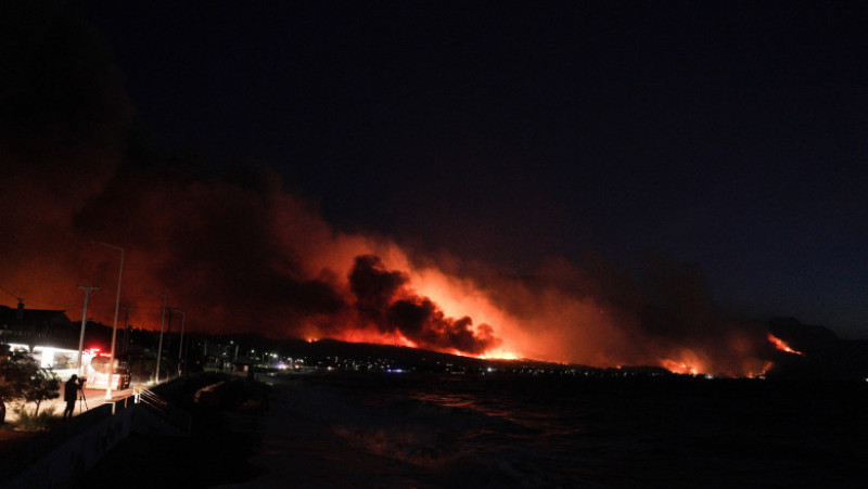 Circa 2000 de hectare de pădure au fost distruse în incendiile de vegetație din Grecia. Foto: Profimedia Images