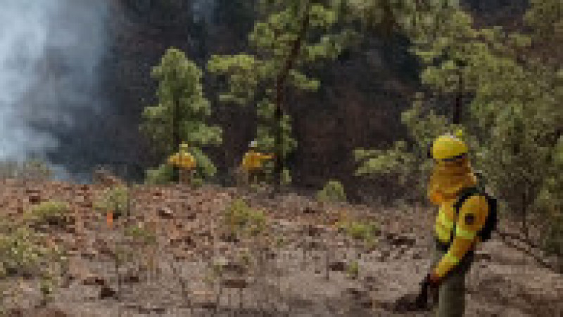 Pompierii se luptă de trei zile cu un incendiu masiv în Tenerife. Peste 3.300 de hectare de vegetaţie au ars. FOTO: Twitter Seguridad Cabildo de Tenerife | Poza 2 din 5