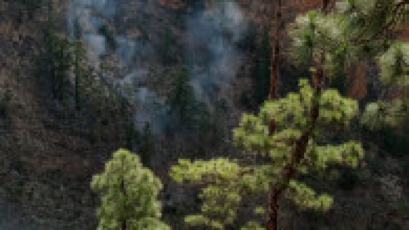 Pompierii se luptă de trei zile cu un incendiu masiv în Tenerife. Peste 3.300 de hectare de vegetaţie au ars. FOTO: Twitter Seguridad Cabildo de Tenerife | Poza 1 din 5