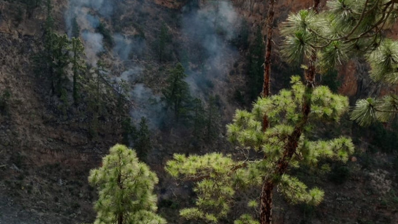 Pompierii se luptă de trei zile cu un incendiu masiv în Tenerife. Peste 3.300 de hectare de vegetaţie au ars. FOTO: Twitter Seguridad Cabildo de Tenerife