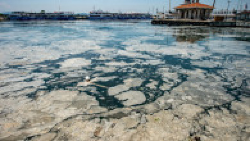 „Mucusul de mare” se răspândește în Marea Marmara, la sud de Istanbul Foto: Profimedia | Poza 9 din 17