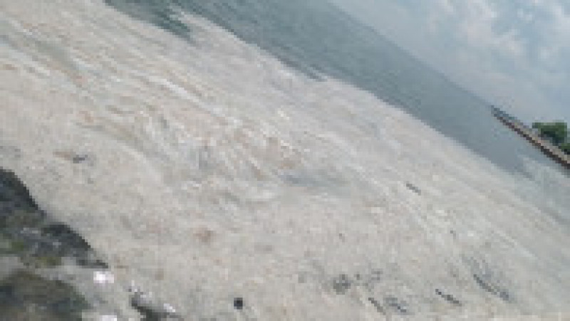Mucilagiul marin este un semn al poluării apelor de coastă Foto: Profimedia | Poza 12 din 18
