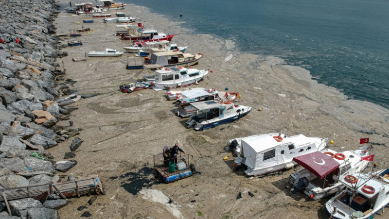 Coastele Mării Marmara din apropiere de Istanbul sunt invadate de „mucilagiu marin” Foto: Profimedia