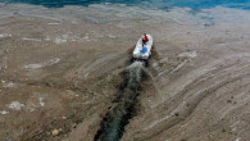 Mucilagiul marin apare din cauza încălzirii climatice și a poluării Foto: Profimedia | Poza 2 din 18