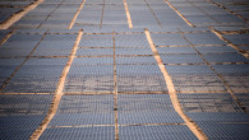 10.600 de panouri solare înconjoară un turn înalt de 250 de metri, al cărui vârf este ţinta razelor soarelui. Sursa foto: Profimedia Images | Poza 3 din 16
