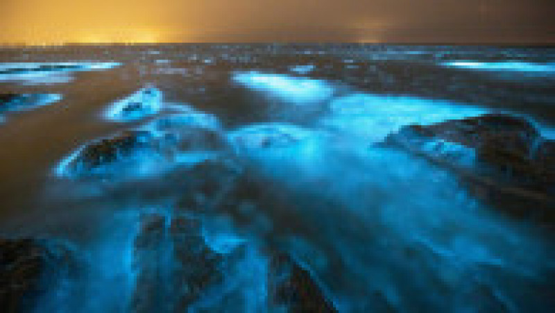 Alge bioluminiscente în apele Golfului Jervis din Australia. Foto: Profimedia Images | Poza 7 din 8