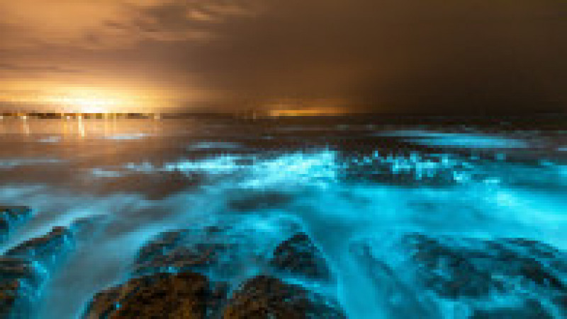 Alge bioluminiscente în apele Golfului Jervis din Australia. Foto: Profimedia Images | Poza 8 din 8