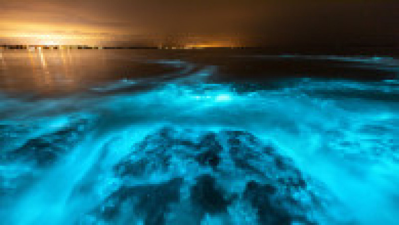 Alge bioluminiscente în apele Golfului Jervis din Australia. Foto: Profimedia Images | Poza 2 din 8