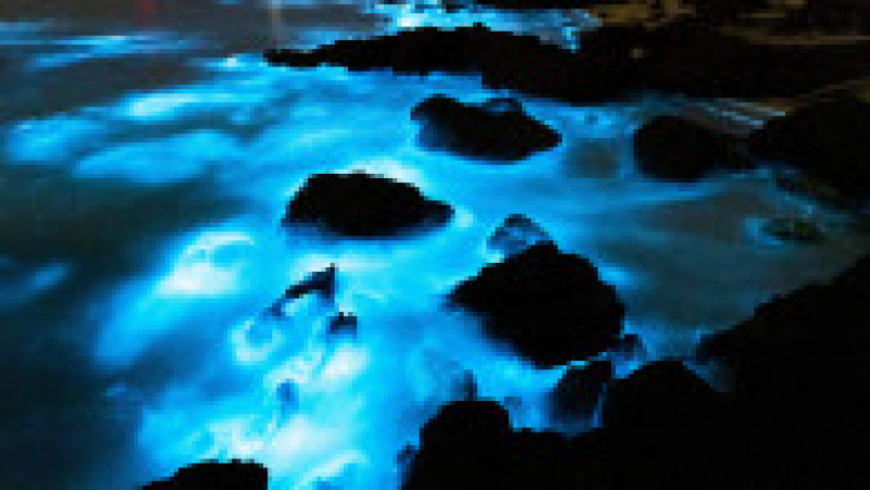Alge bioluminiscente în apele Golfului Jervis din Australia. Foto: Profimedia Images | Poza 3 din 8