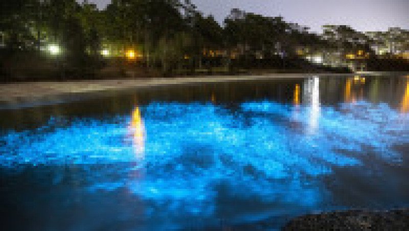 Alge bioluminiscente în apele Golfului Jervis din Australia. Foto: Profimedia Images | Poza 4 din 8