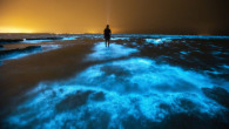 Un bărbat stă în mijlocul algelor bioluminiscente, în apele Golfului Jervis din Australia. Foto: Profimedia Images | Poza 1 din 8