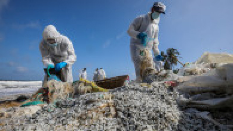 Miliarde de peleți de plastic au invadat plajele din Sri Lanka. FOTO: Agerpres | Poza 5 din 6