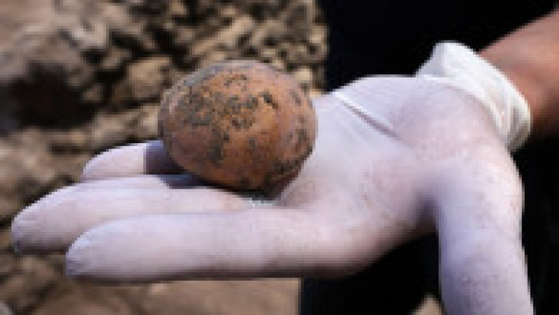 O echipă de arheologi israelieni a descoperit un ou de găină intact cu o vechime de aproximativ 1.000 de ani. Foto: Profimedia | Poza 8 din 9