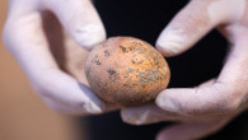 O echipă de arheologi israelieni a descoperit un ou de găină intact cu o vechime de aproximativ 1.000 de ani. Foto: Profimedia | Poza 1 din 9