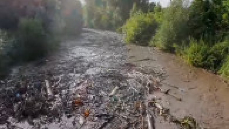 O viitură de numai un minut a umplut un râu din Apuseni cu tone de gunoaie. FOTO: Captura Facebook Dorel Lazăr | Poza 2 din 6