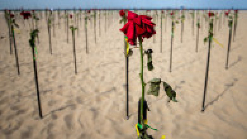 Plaja Copacabana a fost acoperită cu trandafiri roșii. FOTO: Getty Images | Poza 4 din 6