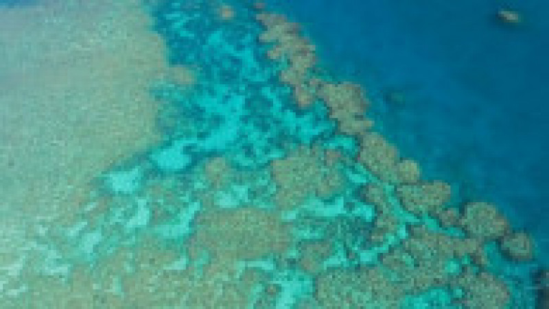 Marea Barieră de Corali FOTO: Profimedia Images | Poza 4 din 7