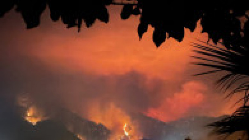 Incendiu văzut noaptea din Golful Icmeler Foto: Profimedia | Poza 15 din 23