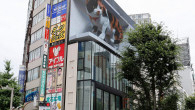 O pisică 3D uriașă a apărut pe un panou publicitar din Tokyo, lângă una dintre cele mai aglomerate gări ale orașului. Foto: Profimedia Images | Poza 1 din 5