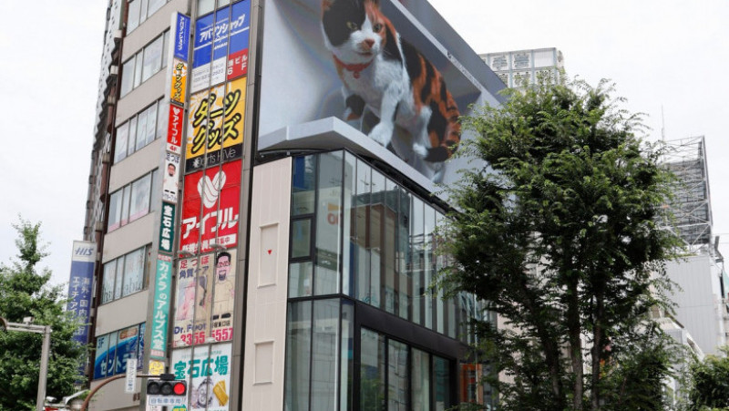 O pisică 3D uriașă a apărut pe un panou publicitar din Tokyo, lângă una dintre cele mai aglomerate gări ale orașului. Foto: Profimedia Images