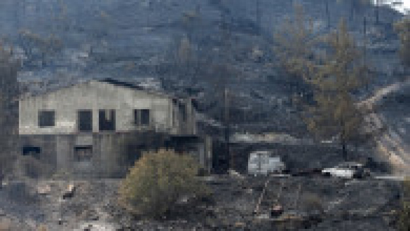Cel mai mare incendiu forestier din istoria Ciprului. FOTO: Agerpres | Poza 4 din 6