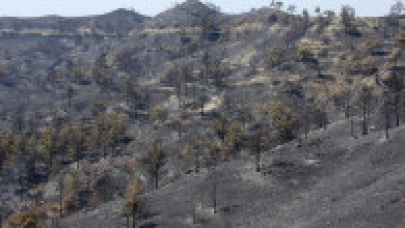 Cel mai mare incendiu forestier din istoria Ciprului. FOTO: Agerpres | Poza 2 din 6