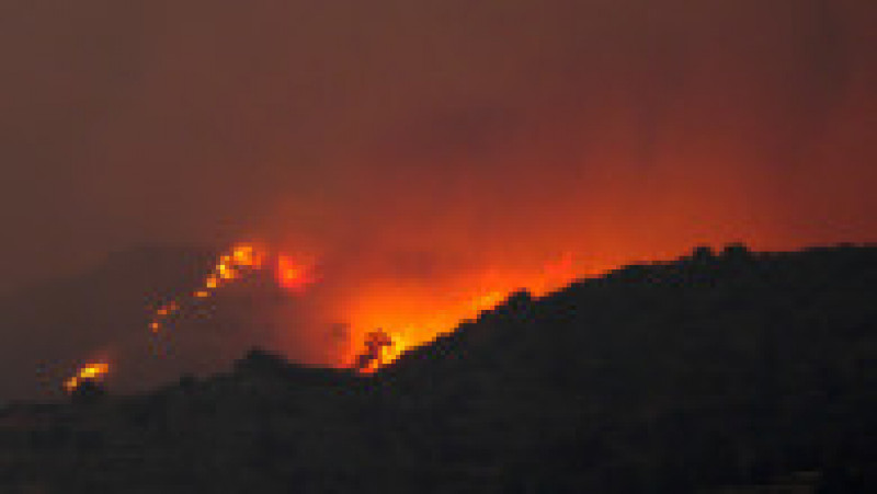 Cel mai mare incendiu forestier din istoria Ciprului. FOTO: Agerpres | Poza 1 din 6
