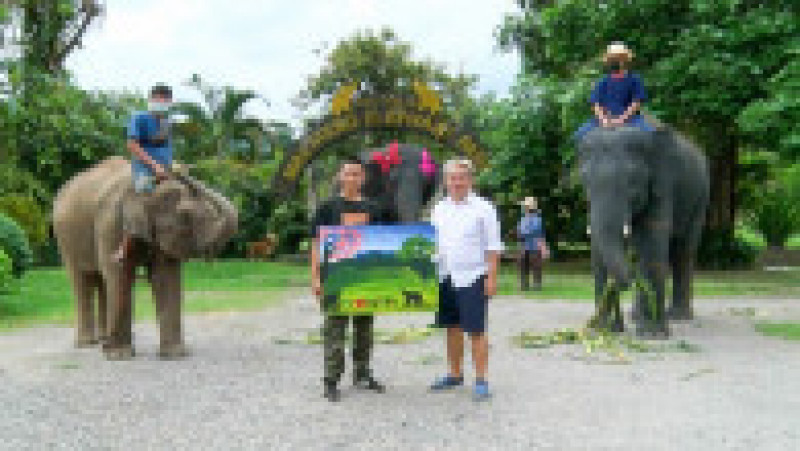 Un elefant pictează tablouri care se vând cu sute de lire sterline. Foto: Profimedia Images | Poza 11 din 11