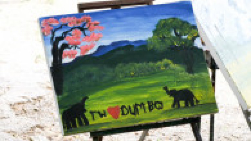 Un elefant pictează tablouri care se vând cu sute de lire sterline. Foto: Profimedia Images | Poza 10 din 11