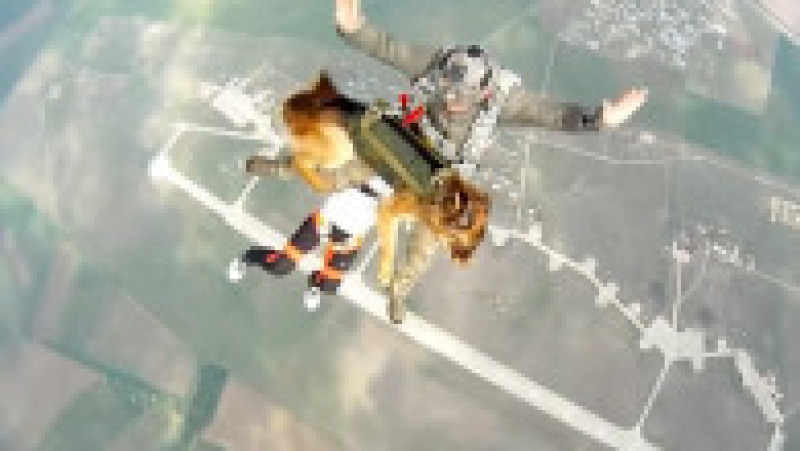 Exercițiu militar cu câini antrenați să sară cu parașuta, în Rusia. Foto: Profimedia Images | Poza 1 din 9