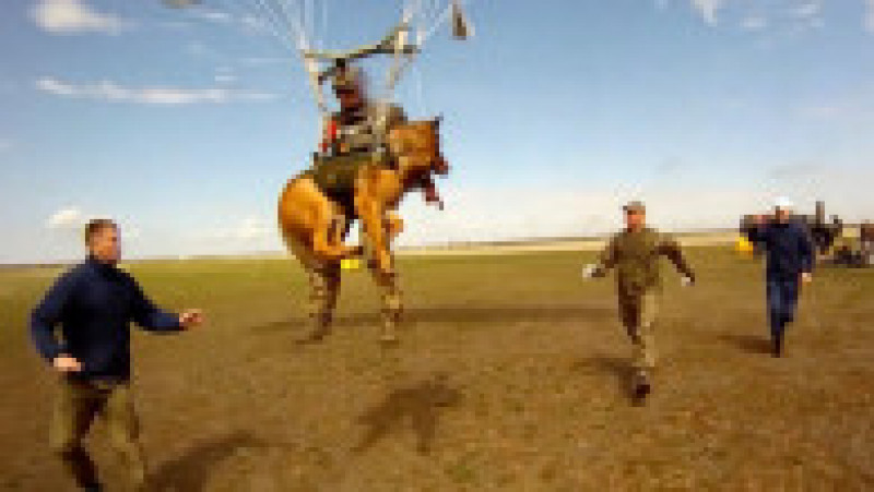 Exercițiu militar cu câini antrenați să sară cu parașuta, în Rusia. Foto: Profimedia Images | Poza 9 din 9